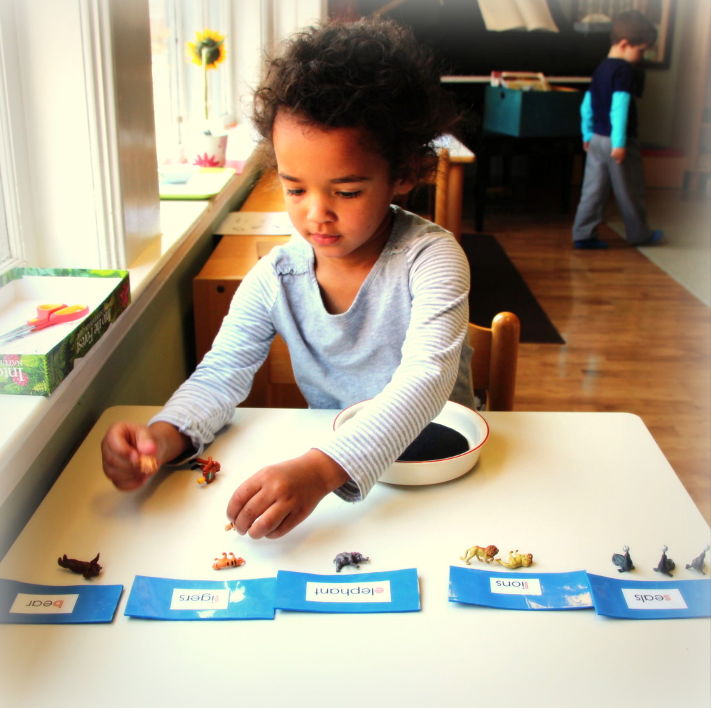 Greer - matching objects with words