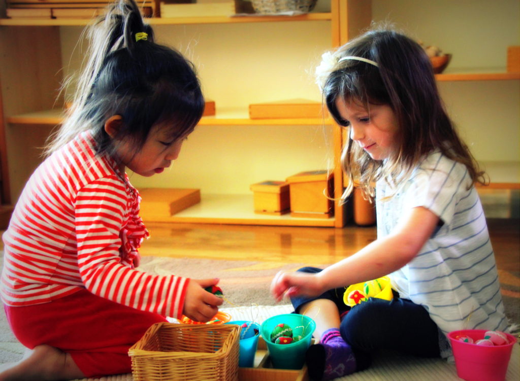 Evelyn and Micaela egg sort