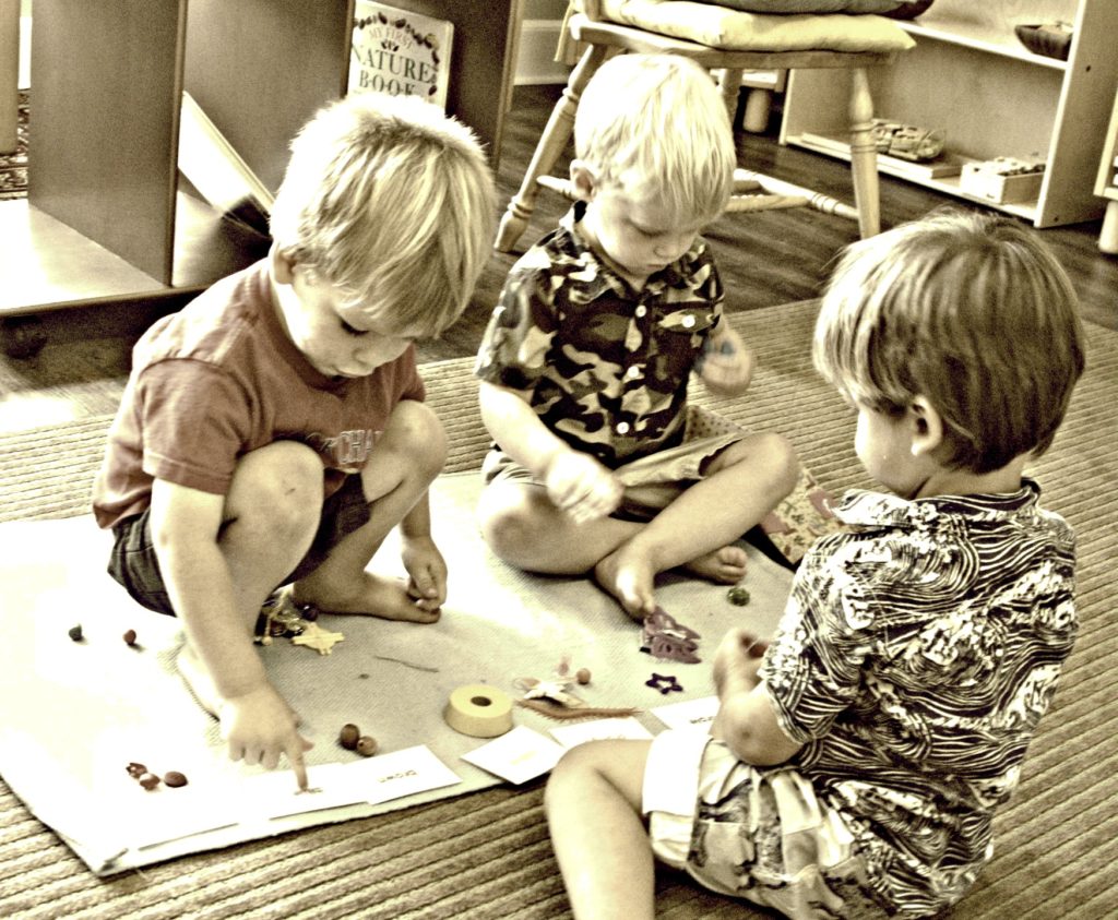 Nate Walter Nico colors