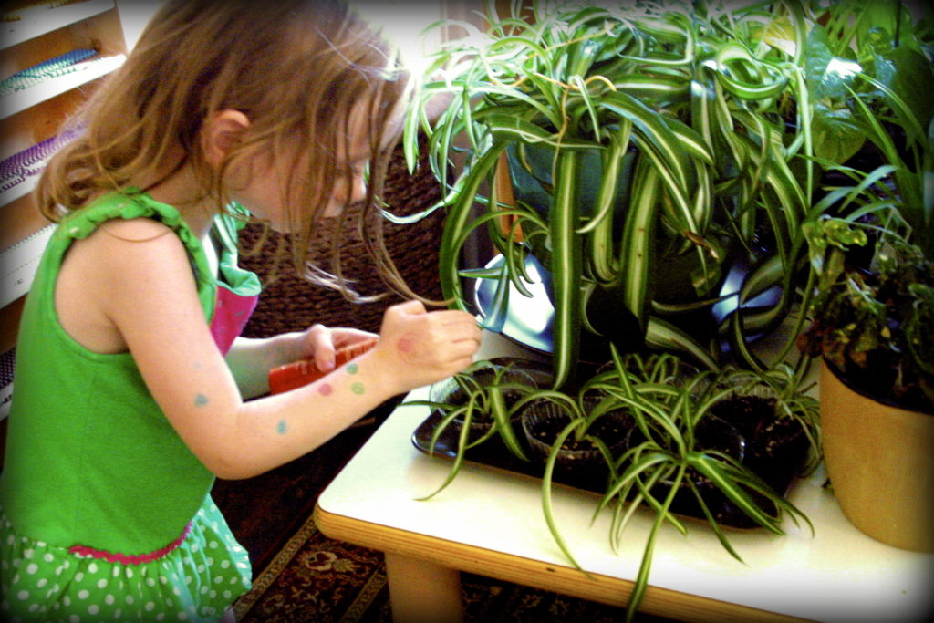 eilish-plant-caring